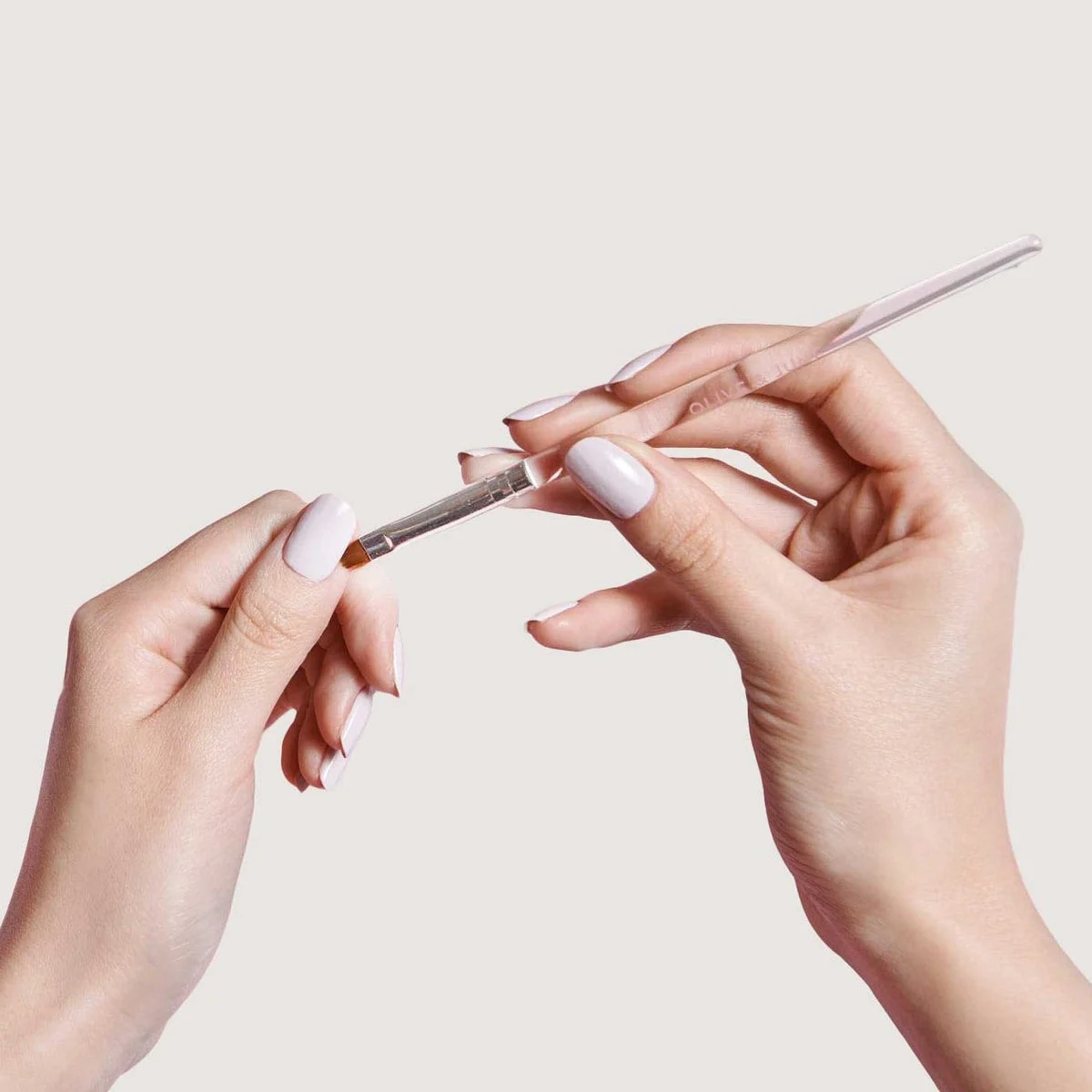 Clean Up Brush